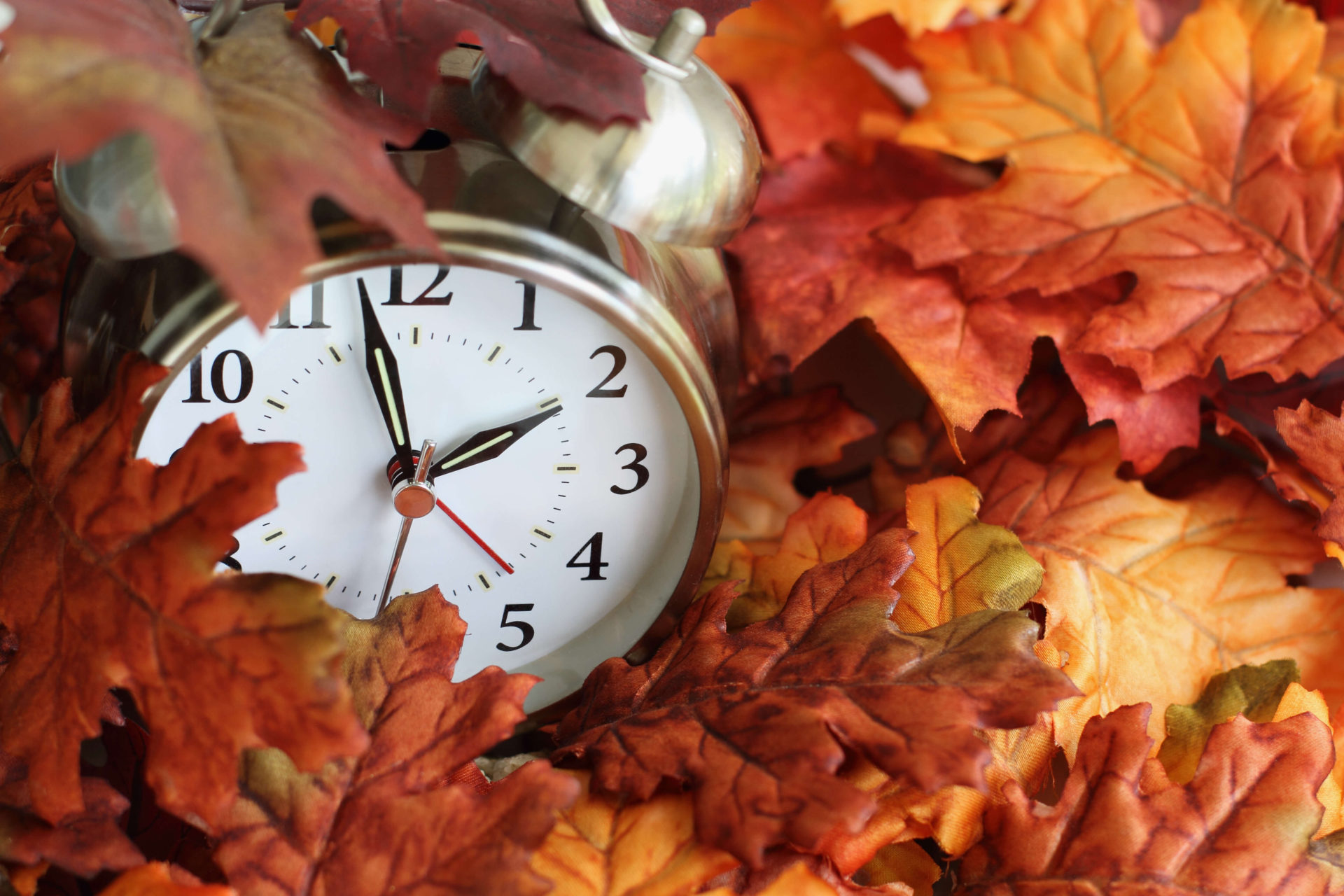 Fall Back by Stephanie Frey